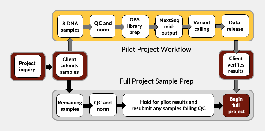 GBS workflow